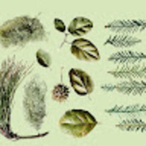 Meet your Posher, Maren